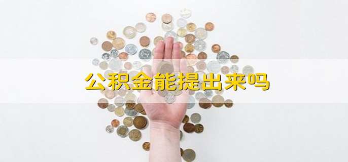 公积金能提出来吗
