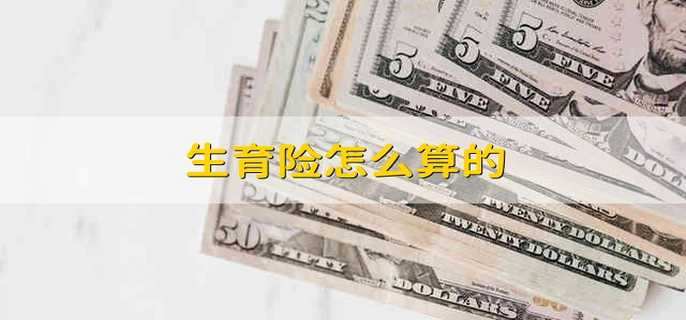 生育险怎么算的