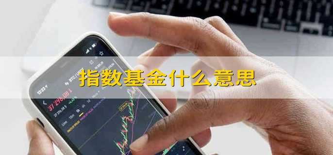 指数基金什么意思