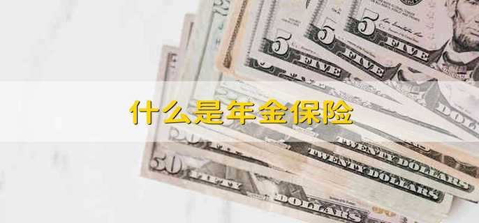 什么是年金保险