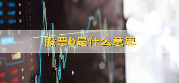 股票b是什么意思