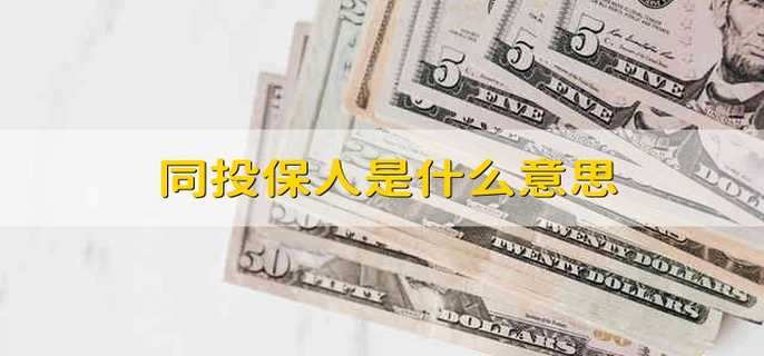同投保人是什么意思