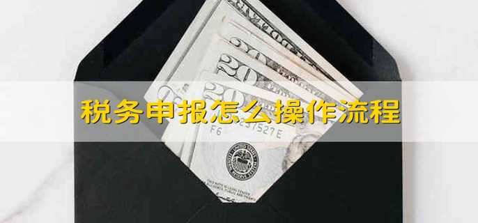 税务申报怎么操作流程
