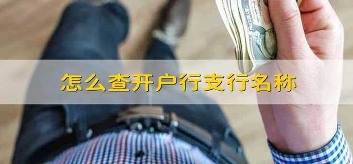 怎么查开户行支行名称