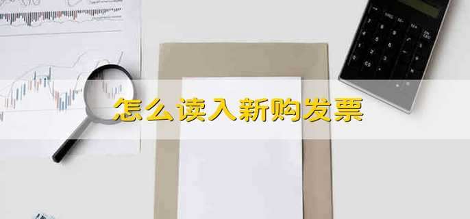 怎么读入新购发票