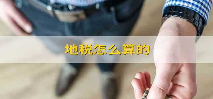 地税怎么算的