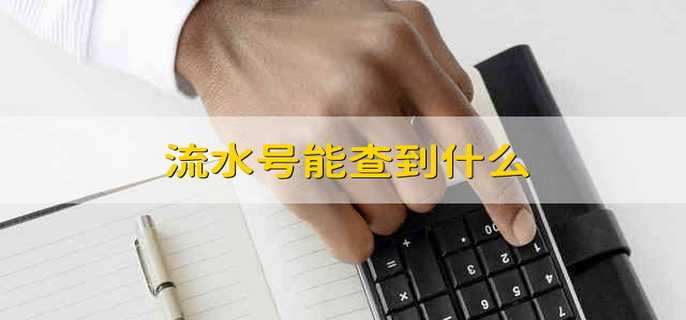 流水号能查到什么