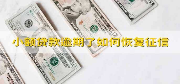 小额贷款逾期了如何恢复征信