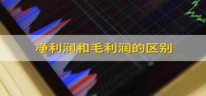 净利润和毛利润的区别