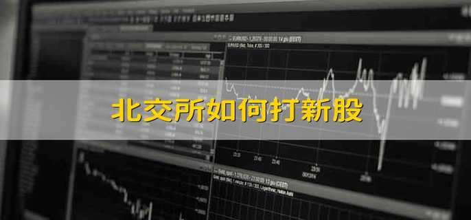 北交所如何打新股