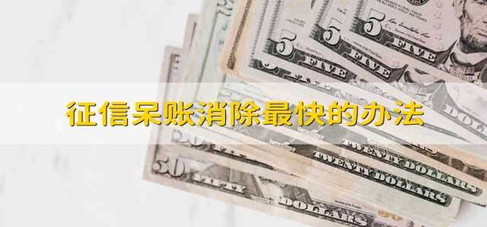 征信呆账消除最快的办法