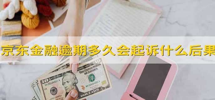 京东金融贷款逾期多久会被起诉会有什么后果