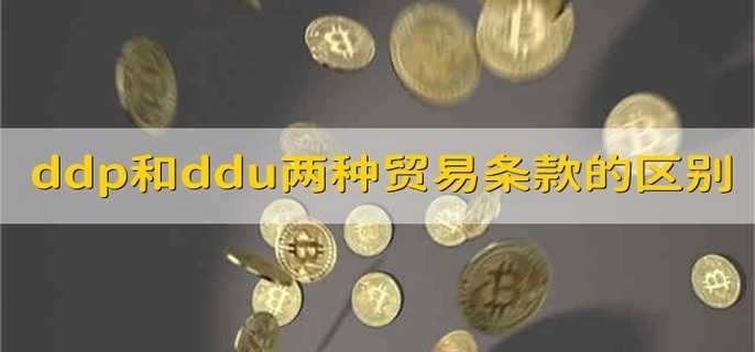 ddp和ddu两种贸易条款的区别
