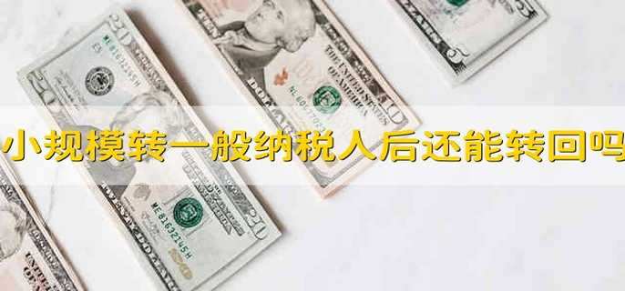 小规模纳税人转为一般纳税人后还能转回小规模吗