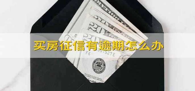 买房征信有逾期怎么办