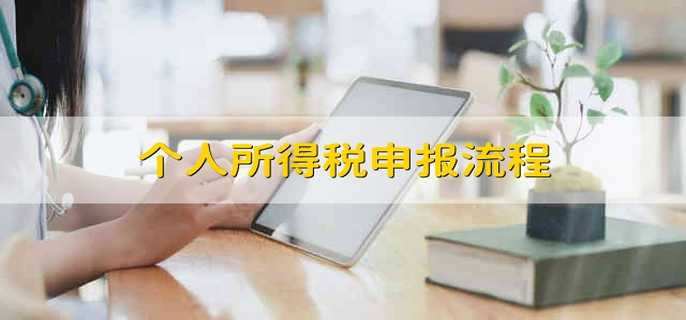 个人所得税申报流程