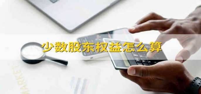 少数股东权益怎么算