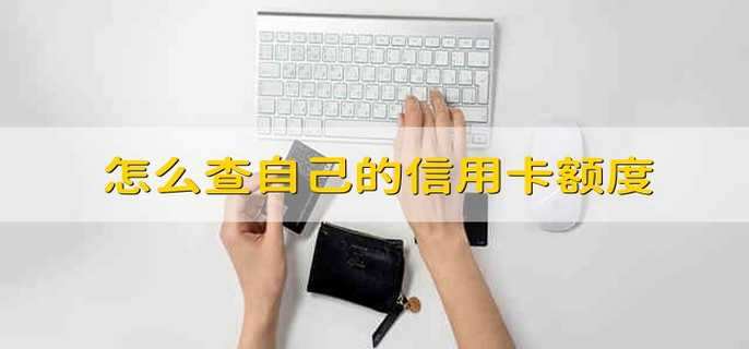 怎么查自己的信用卡额度
