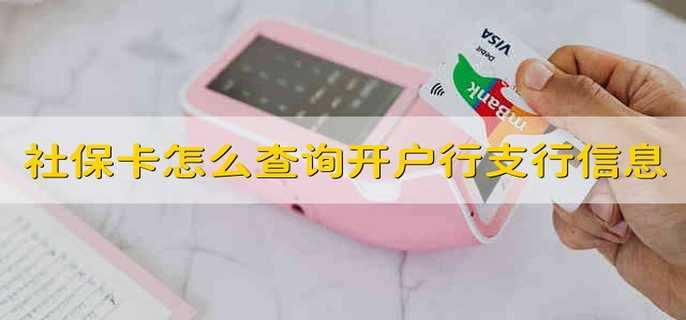 社保卡怎么查询开户行支行信息
