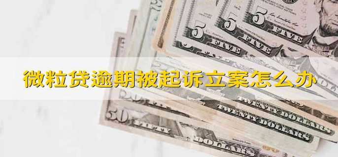 微粒贷逾期被起诉,法院已经立案,我该怎么办?