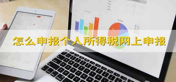 怎么申报个人所得税网上申报流程
