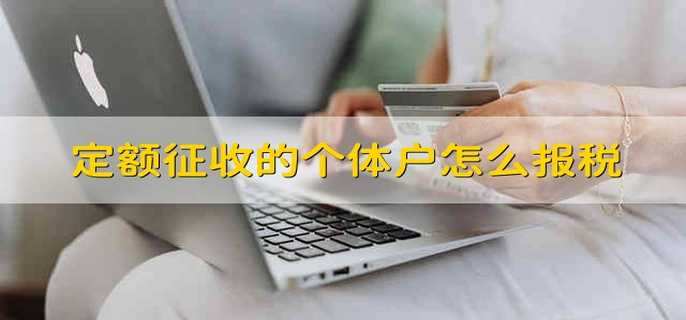 定额征收的个体户怎么报税