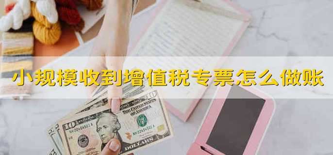 小规模收到增值税专用发票怎么做账