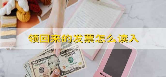 领回来的发票怎么读入