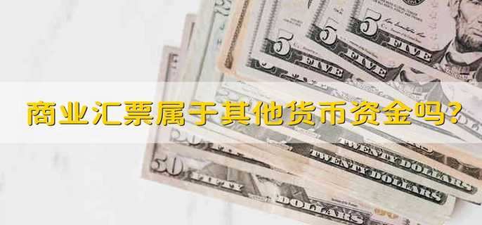 商业汇票属于其他货币资金吗?
