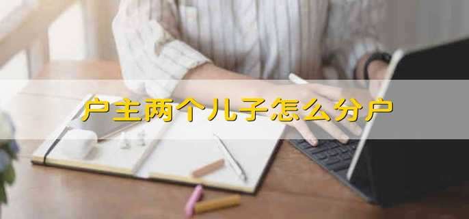 户主两个儿子怎么分户
