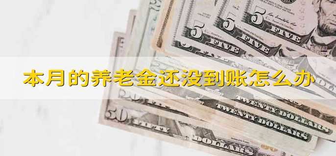 本月的养老金还没到账怎么办