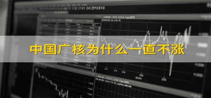 中国广核为什么一直不涨