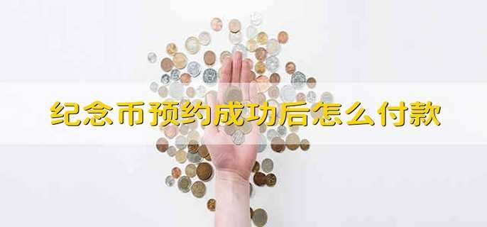 纪念币预约成功后怎么付款