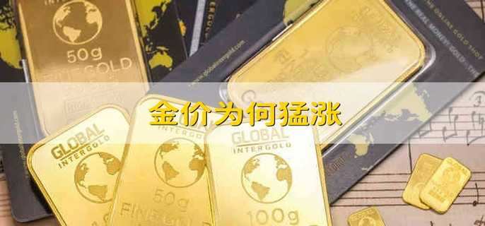 金价为何猛涨