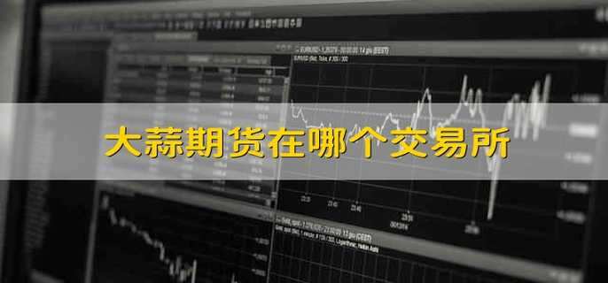 大蒜期货在哪个交易所