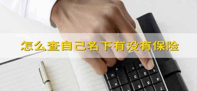 怎么查自己名下有没有保险