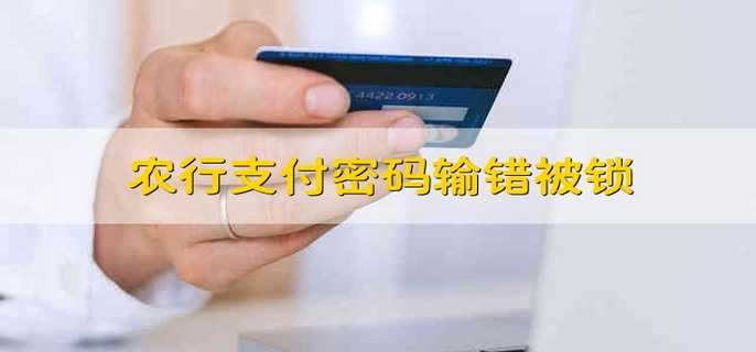 农行支付密码输错被锁