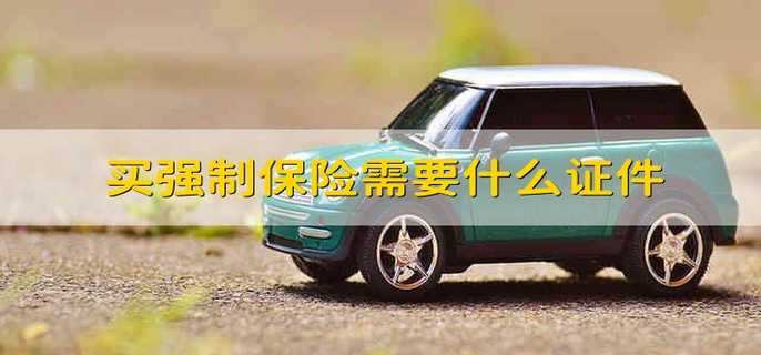买强制保险需要什么证件