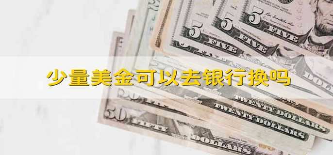 少量美金可以去银行换吗