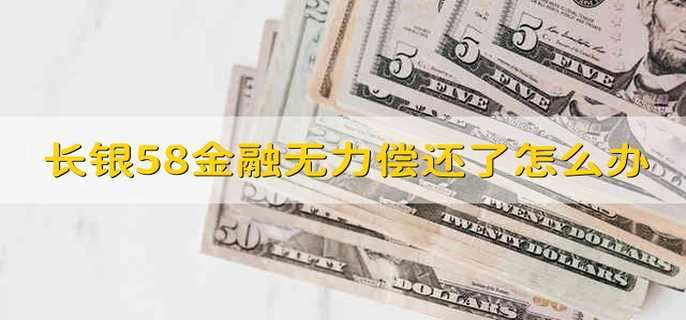 长银58金融无力偿还了怎么办