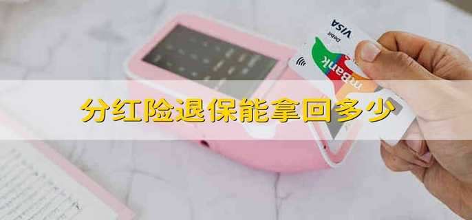 分红险退保能拿回多少