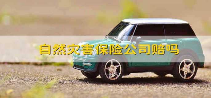 自然灾害保险公司赔吗