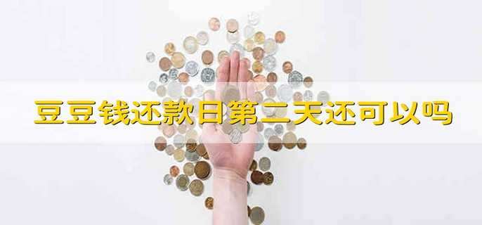 豆豆钱还款日第二天还可以吗