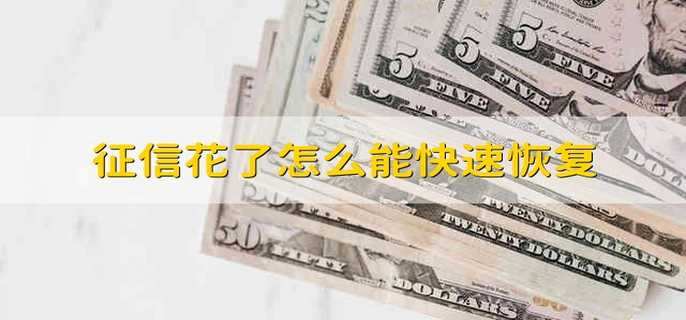 征信花了怎么能快速恢复