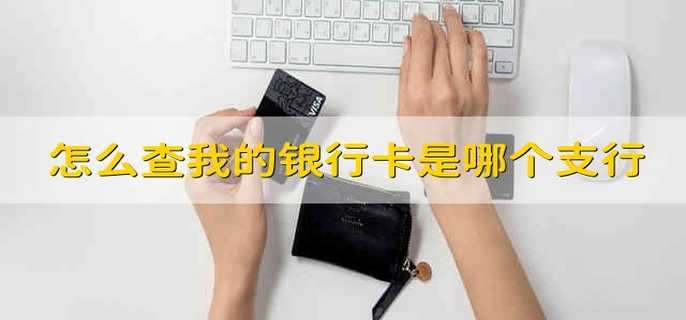 怎么查我的银行卡是哪个支行