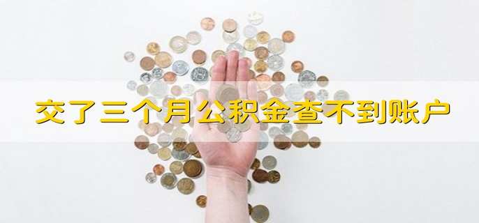 交了三个月公积金查不到账户