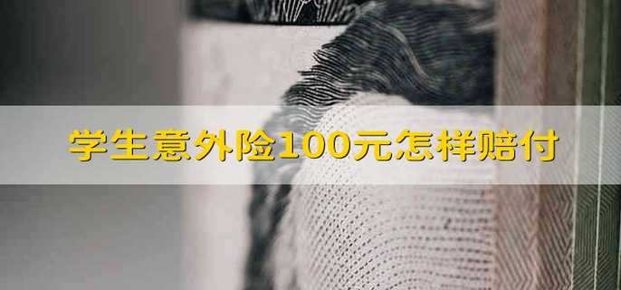 学生意外险100元怎样赔付