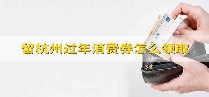 留杭州过年消费券怎么领取