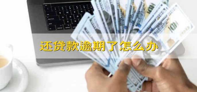 还贷款逾期了怎么办
