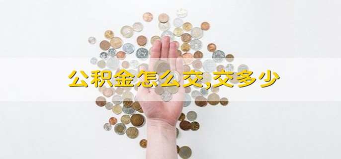 公积金怎么交,交多少